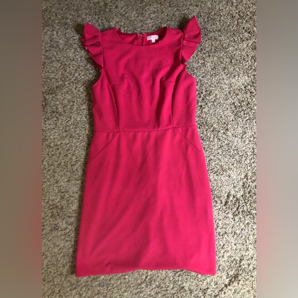 Pink Lily Sleeveless Girls Large Dress Zip Back Excellent Condition